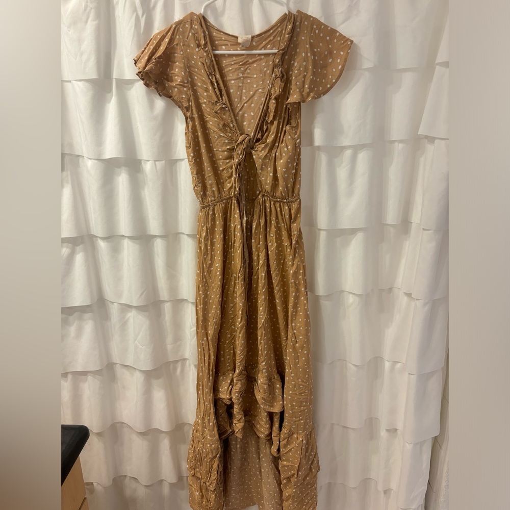 Brown and white dot maxi dress